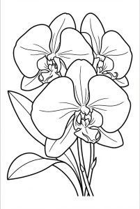 Tô màu Hoa Lan Đặc Biệt