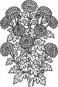 Tô màu Một Cây Hoa Cúc Nhiều Bông
