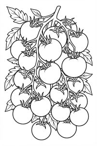 Tô màu Một Chùm Quả Cà Chua