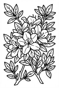 Tô màu cành hoa đỗ quyên