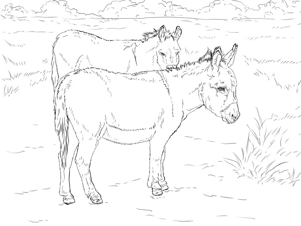 Tô màu 2 Con Lừa dễ thương cho bé