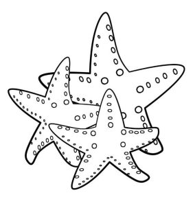 Tô màu 3 Con Sao Biển cho bé tập tô