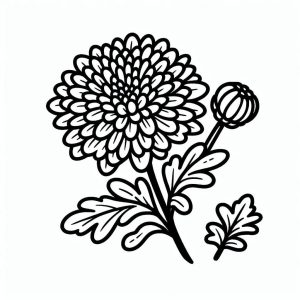 Tô màu Bông Và Nụ Hoa Cúc cho bé tập tô