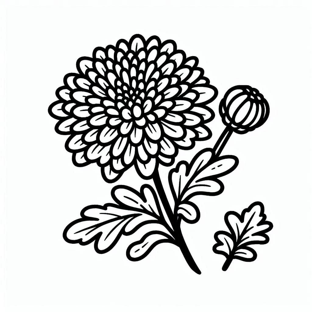Tô màu Bông Và Nụ Hoa Cúc cho bé tập tô