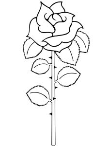 Tô màu cành hoa hồng giúp bé rèn luyện khả năng tô màu