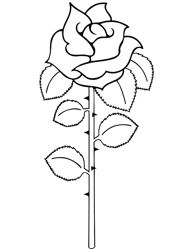 Tô màu cành hoa hồng giúp bé rèn luyện khả năng tô màu