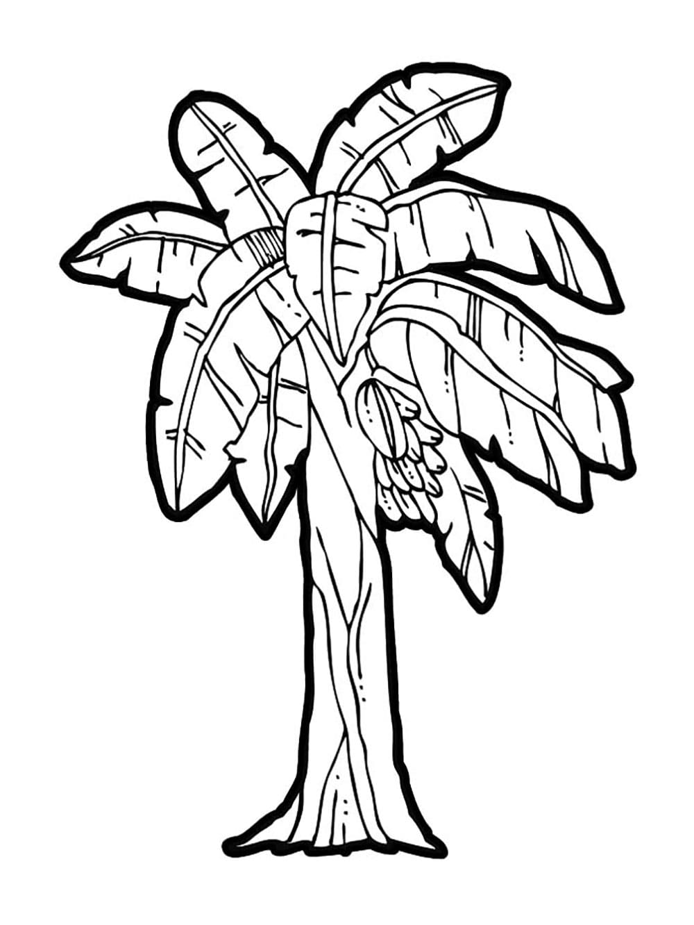 Tô màu Cây Chuối Cao