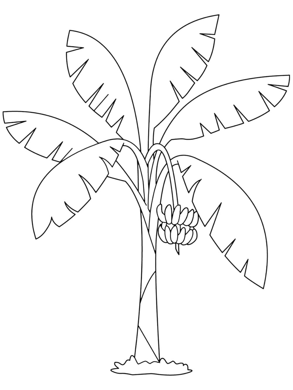 Tô màu Cây Chuối Đẹp và Đơn Giản