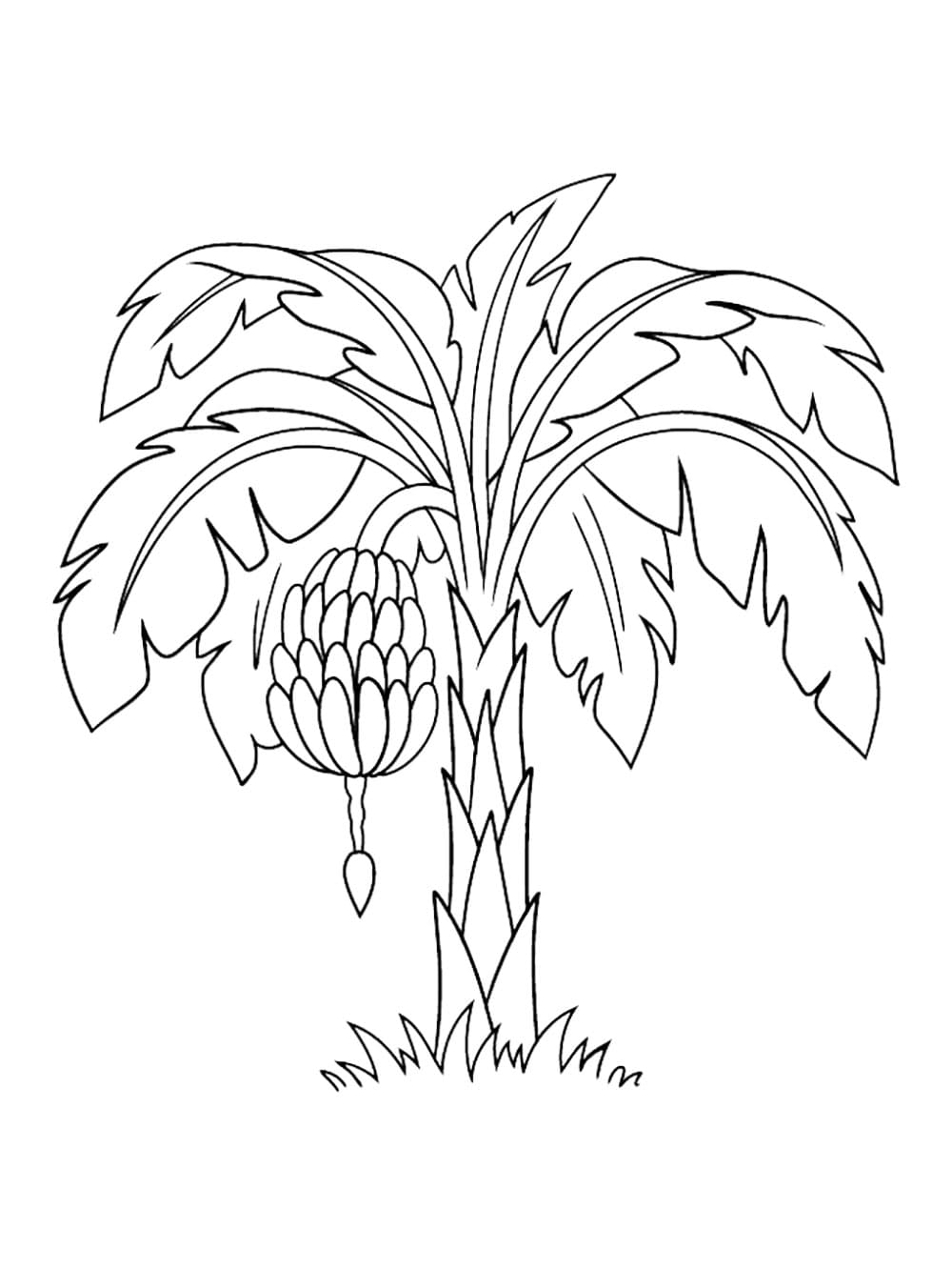 Tô màu Cây Chuối Trong Vườn