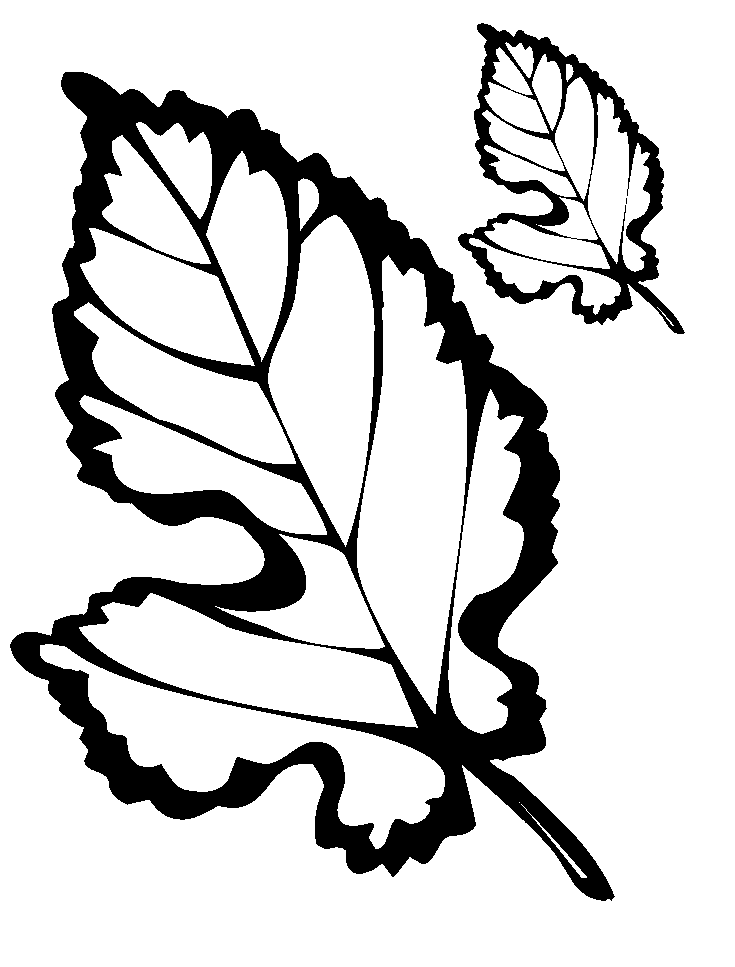 Tô màu Chiếc Lá Bị Sâu dễ thương cho bé