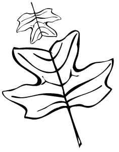 Tô màu Chiếc Lá Bình Thường cho bé tập tô