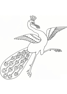 Tô màu chim công nhảy múa dễ thương cho bé