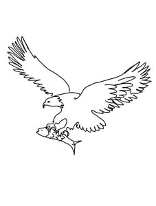 Tô màu Chim Đại Bàng Bắt Cá cho bé tập tô