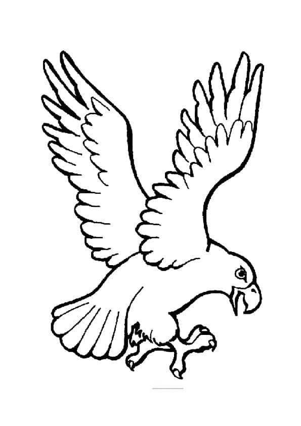 Tô màu Chim Đại Bàng Đang Bay giúp bé rèn luyện khả năng tô màu