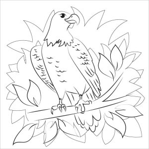 Tô màu Chim Đại Bàng Dễ Thương giúp bé rèn luyện khả năng tô màu