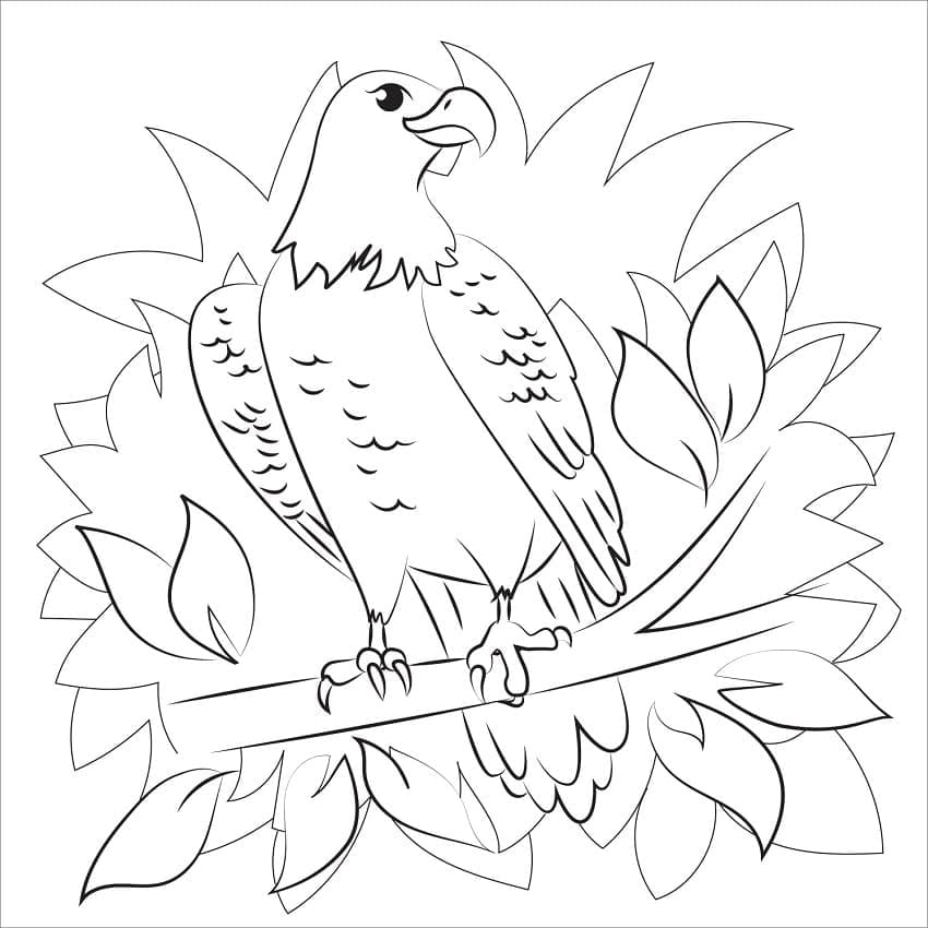 Tô màu Chim Đại Bàng Dễ Thương giúp bé rèn luyện khả năng tô màu