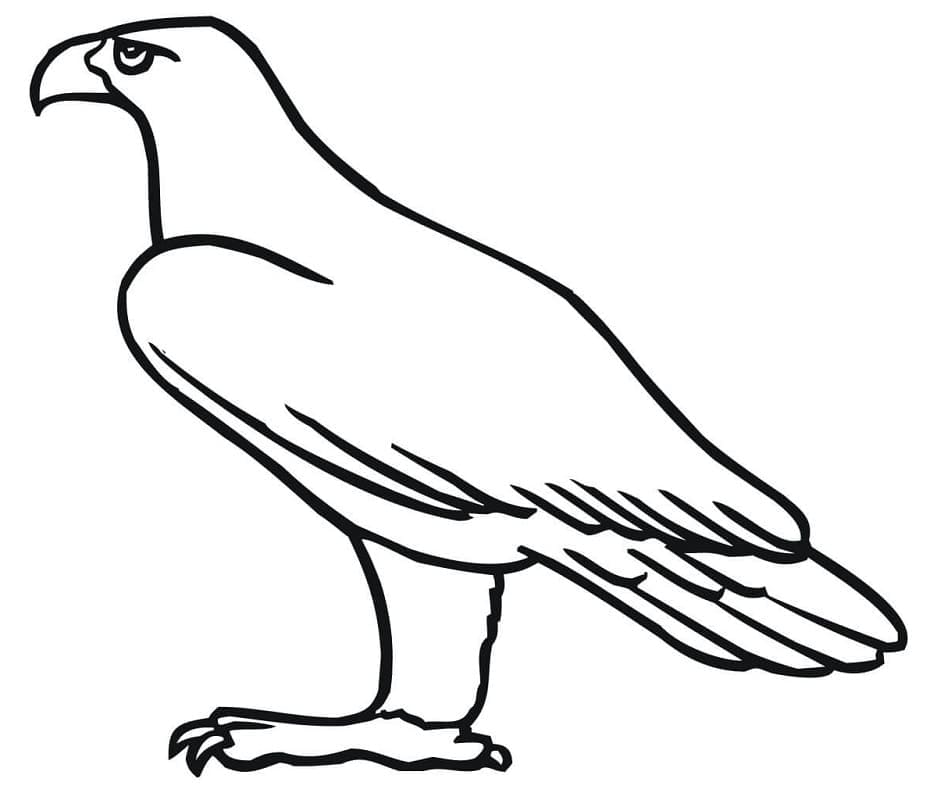 Tô màu Chim Đại Bàng Đơn Giản cho bé tập tô