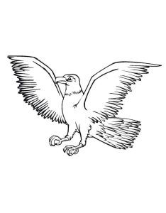 Tô màu Chim Đại Bàng Vẫy Cánh giúp bé rèn luyện khả năng tô màu