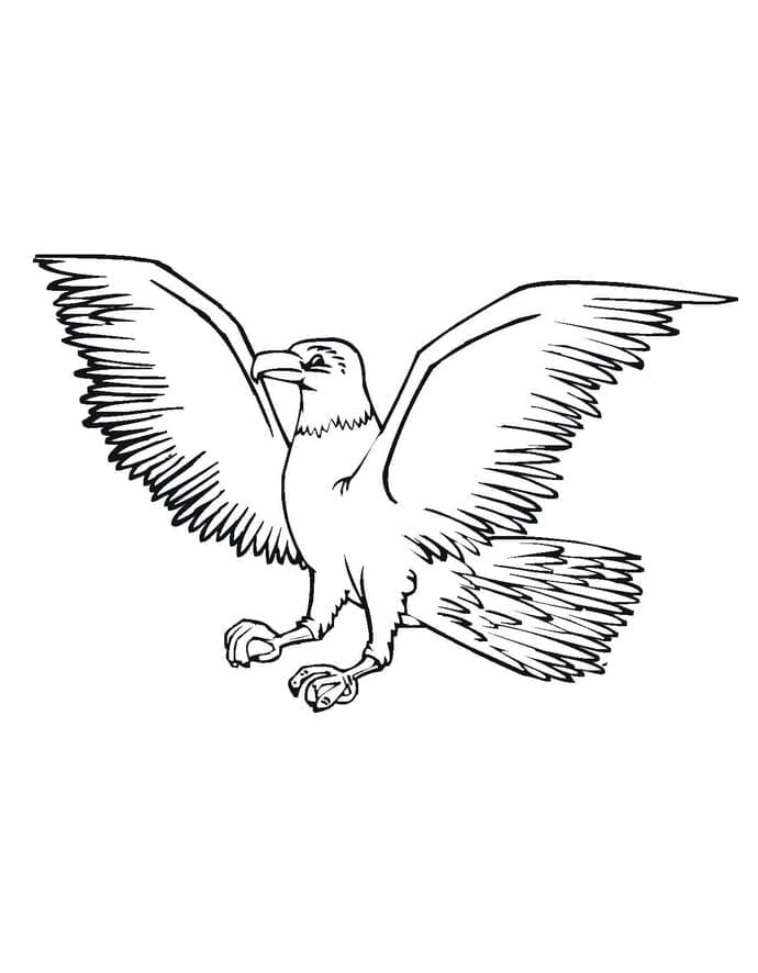 Tô màu Chim Đại Bàng Vẫy Cánh giúp bé rèn luyện khả năng tô màu