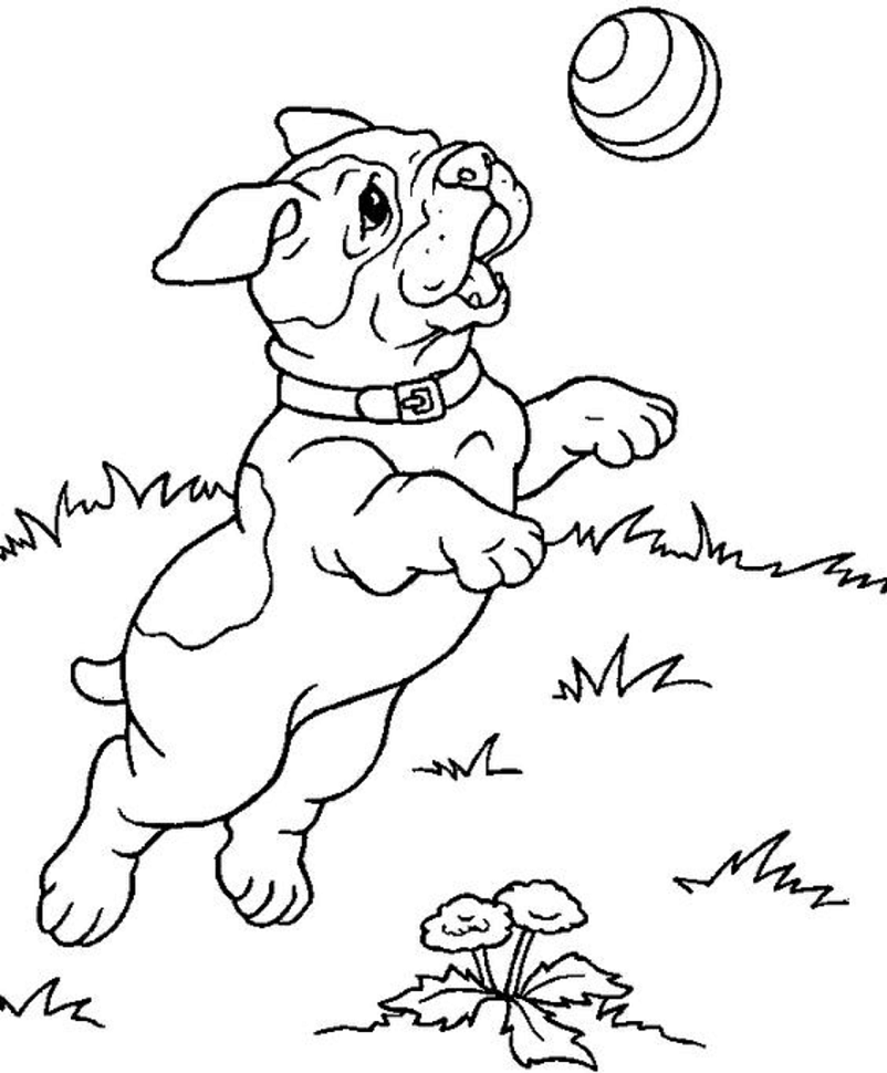 Tô màu chó pug đang chơi với quả bóng giúp bé rèn luyện khả năng tô màu