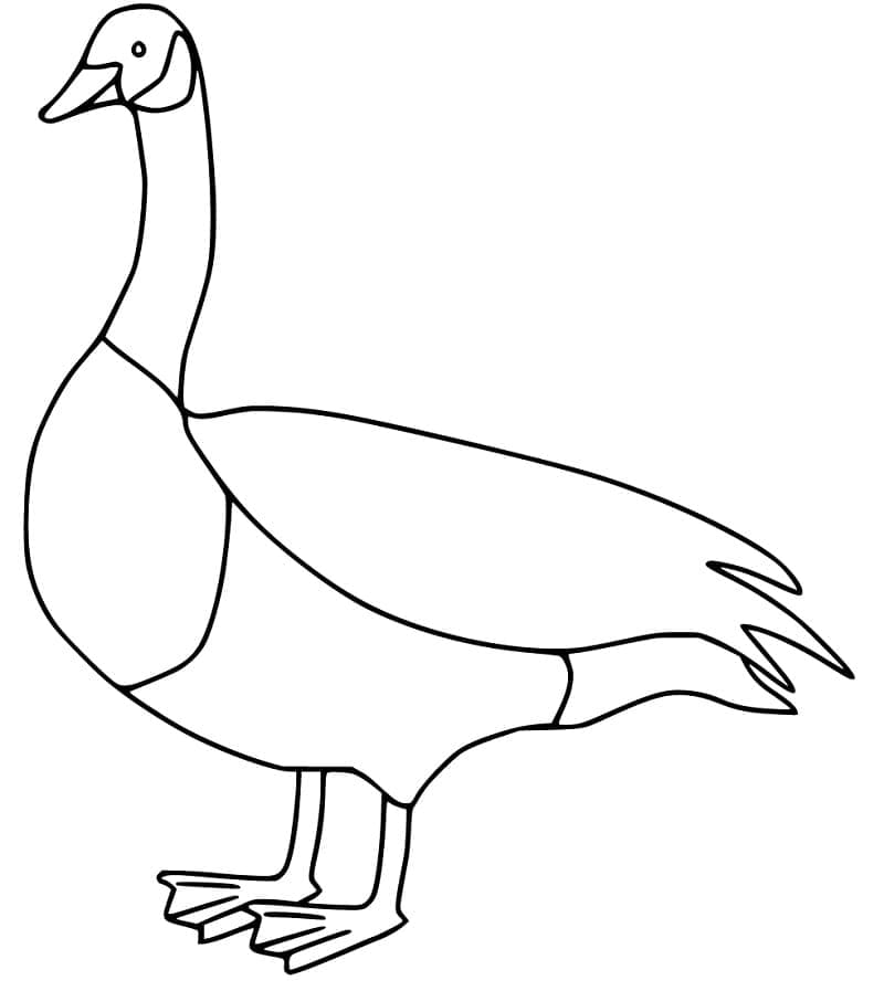 Tô màu Chú Ngỗng Đơn Giản giúp bé rèn luyện khả năng tô màu