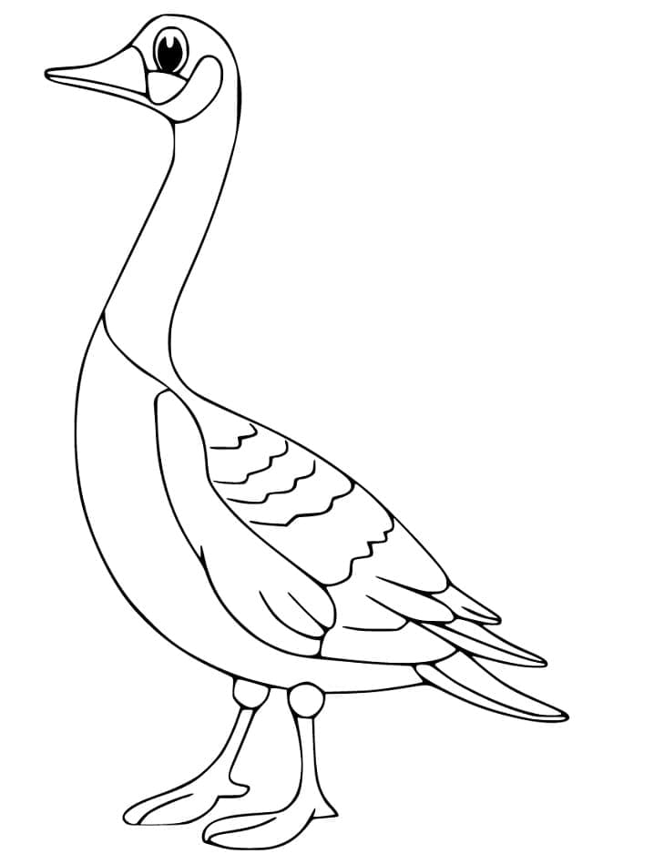 Tô màu Chú Ngỗng Ngộ Nghĩnh giúp bé rèn luyện khả năng tô màu