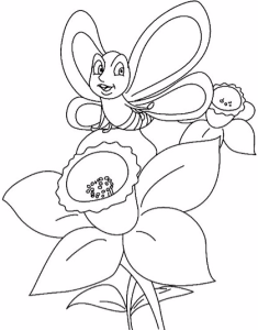 Tô màu con bướm và hoa thủy tiên cho bé tập tô