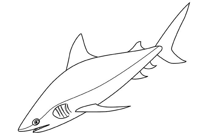 Tô màu con cá mập bò cho bé tập tô