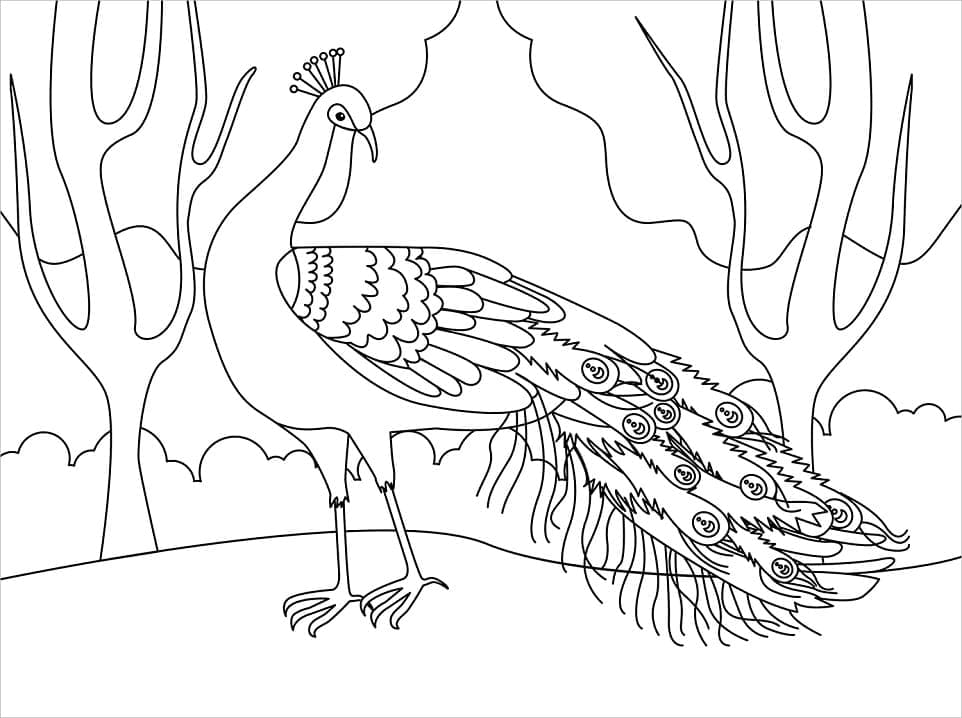 Tô màu Con Công Trong Rừng cho bé tập tô