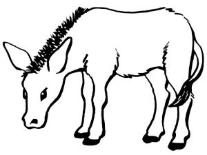 Tô màu Con Lừa 3 cho bé tập tô