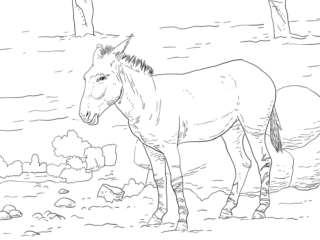 Tô màu Con Lừa Đang Đứng