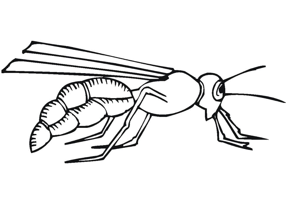 Tô màu Con Ong 3 dễ thương cho bé
