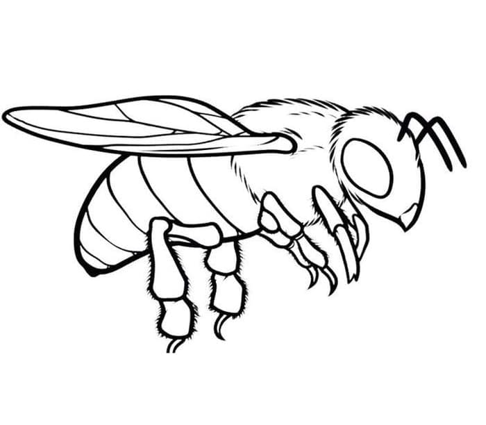 Tô màu Con Ong Đang Bay cho bé tập tô