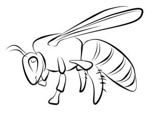 Tô màu Con Ong Mật cho bé tập tô