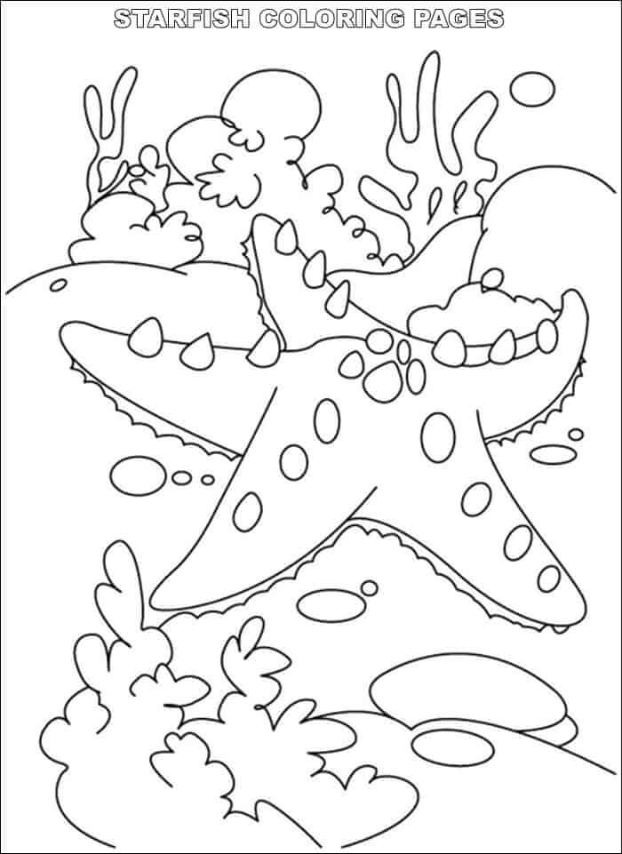 Tô màu Con Sao Biển Dưới Biển dễ thương cho bé