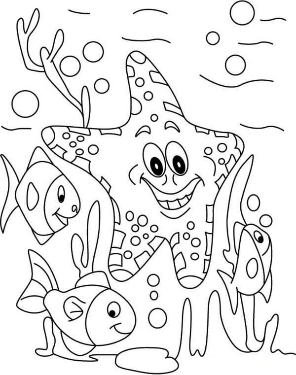 Tô màu Con Sao Biển và Đàn Cá giúp bé rèn luyện khả năng tô màu