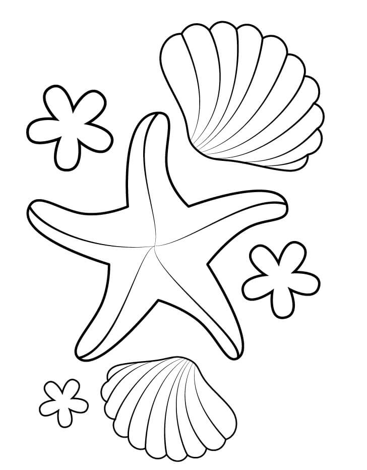 Tô màu Con Sao Biển và Vỏ Sò giúp bé rèn luyện khả năng tô màu