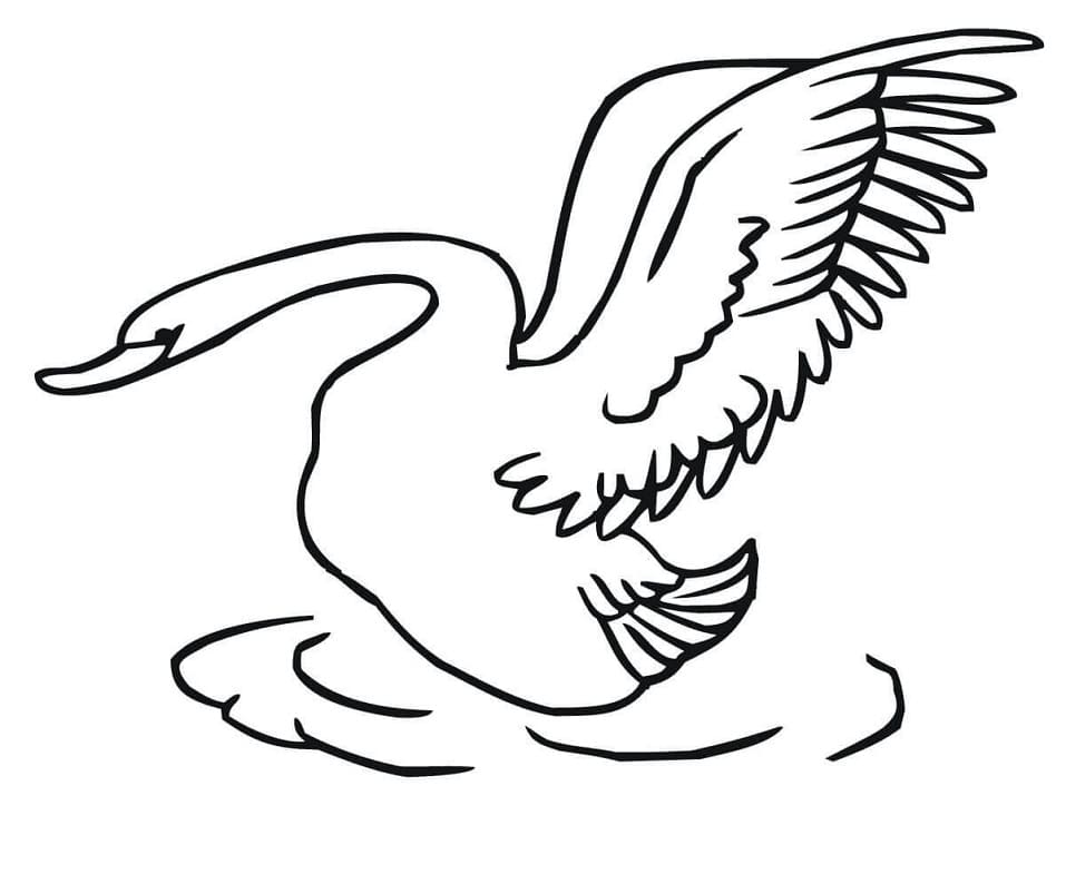 Tô màu Con Thiên Nga Vẫy Cánh giúp bé rèn luyện khả năng tô màu