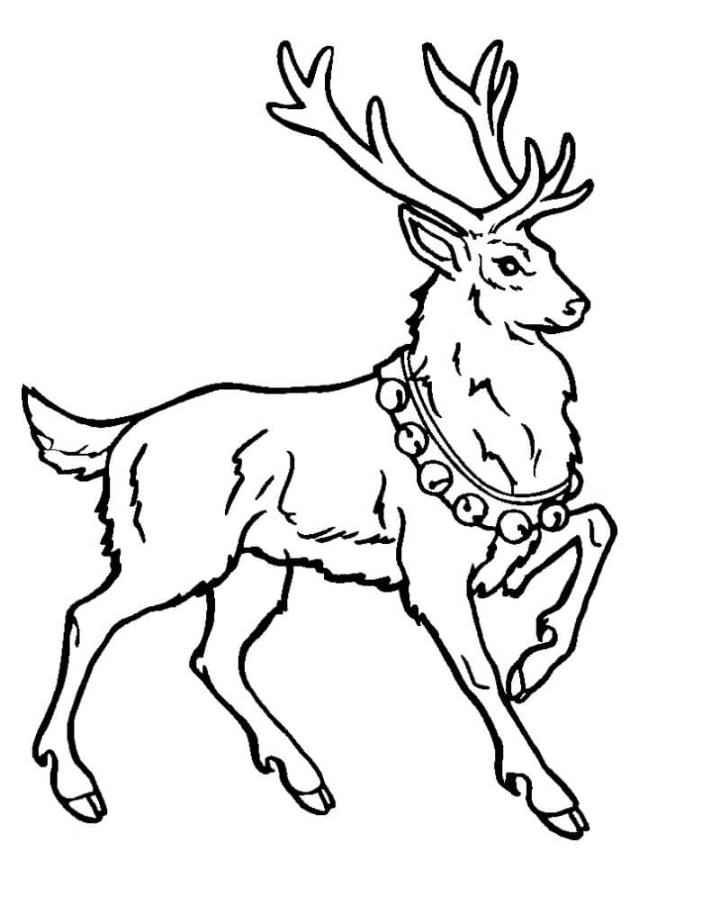 Tô màu Con Tuần Lộc Đeo Vòng Chuông giúp bé rèn luyện khả năng tô màu