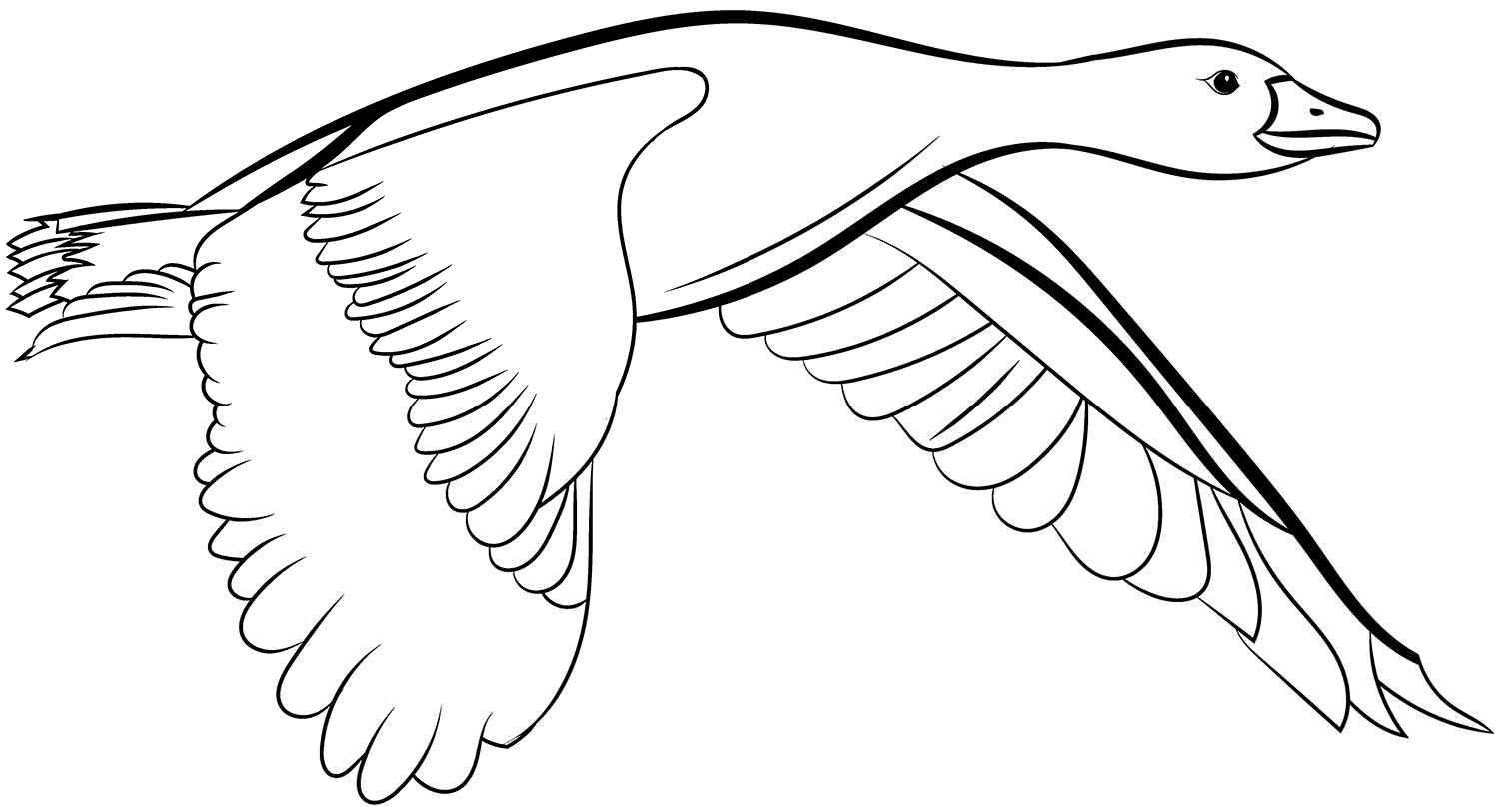 Tô màu con vịt đang bay