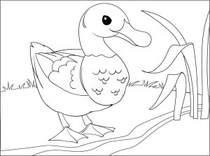 Tô màu Con Vịt Dễ Thương giúp bé rèn luyện khả năng tô màu