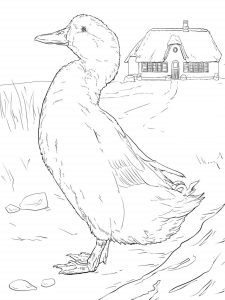 Tô màu con vịt nhà giúp bé rèn luyện khả năng tô màu