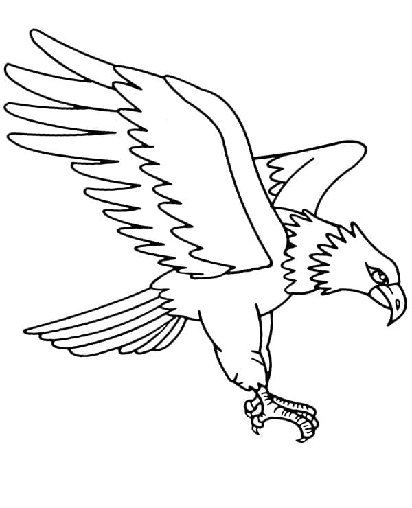 Tô màu Đại Bàng Bay dễ thương cho bé