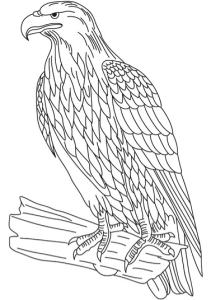 Tô màu đại bàng vàng dễ thương cho bé