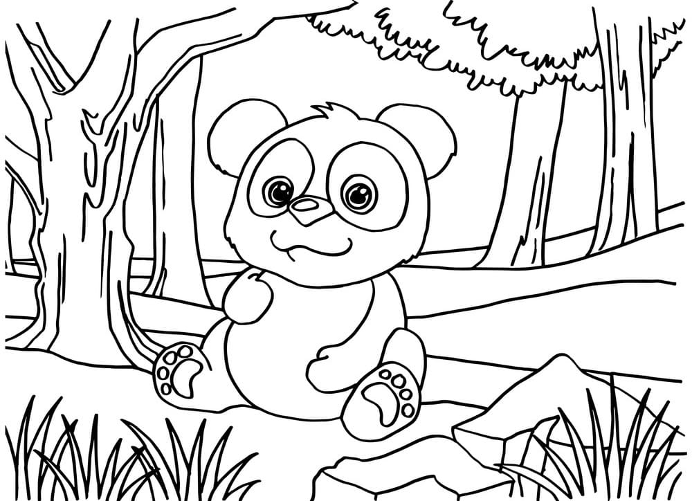 Tô màu Gấu Trúc Đáng Yêu Mỉm Cười giúp bé rèn luyện khả năng tô màu