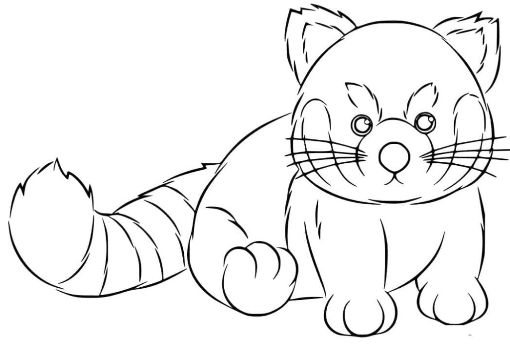 Tô màu Gấu Trúc Đỏ Nhỏ dễ thương cho bé