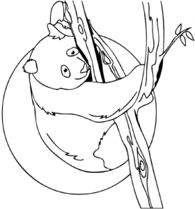 Tô màu gấu trúc nằm trên cành cây dễ thương cho bé