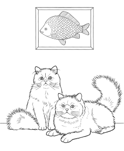 Tô màu hai con mèo himalayan giúp bé rèn luyện khả năng tô màu