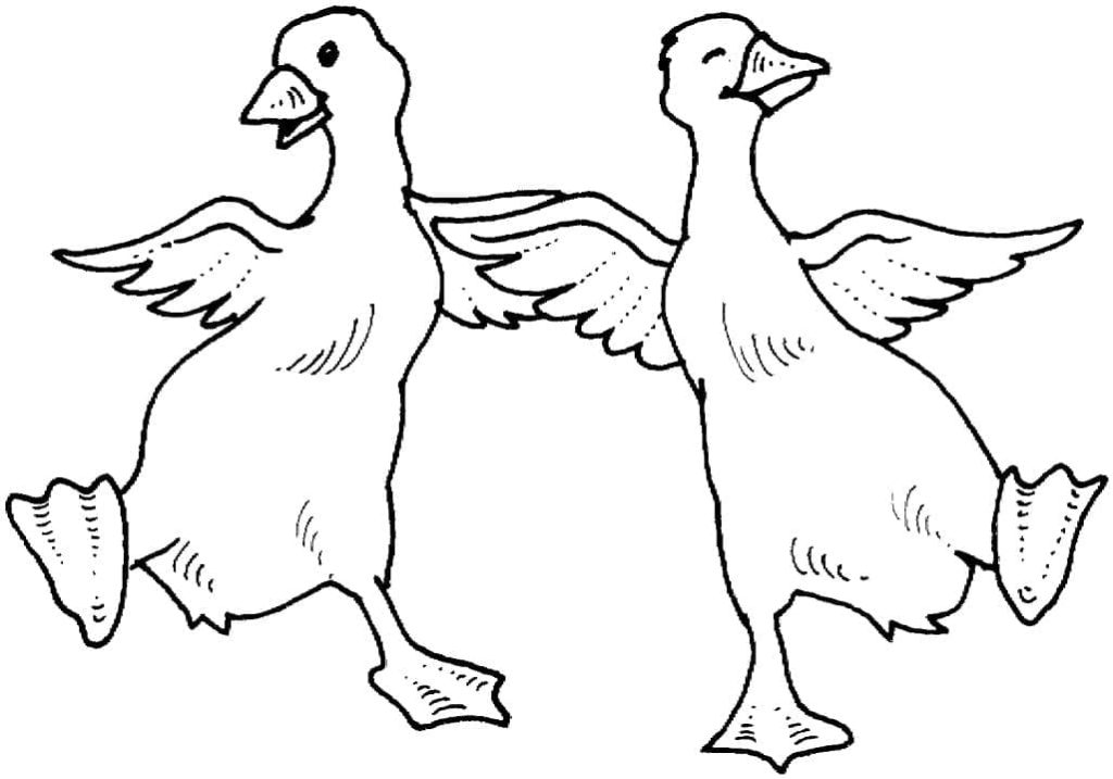 Tô màu Hai Con Ngỗng Vui Vẻ cho bé tập tô