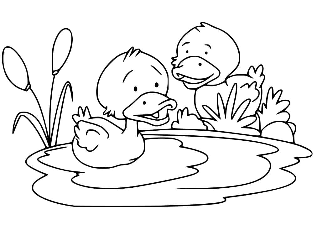 Tô màu Hai Con Vịt Con dễ thương cho bé